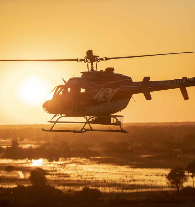 Helicopter Horizons