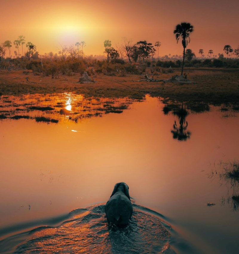 Solly Levi Wildlife Photography